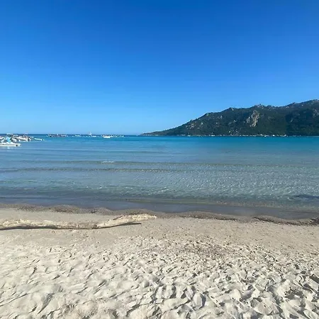 4 Personnes - Grande Terrasse - Proche Du Port - Porto-vecchio Porto-Vecchio (Corsica)