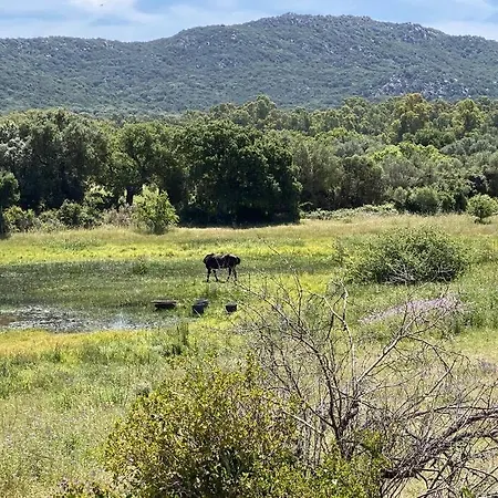 Apartmán 4 Personnes - Grande Terrasse - Proche Du Port - Porto-vecchio *